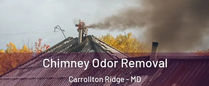 Chimney Odor Removal Carrollton Ridge - MD