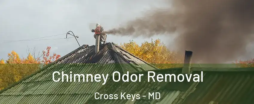 Chimney Odor Removal Cross Keys - MD