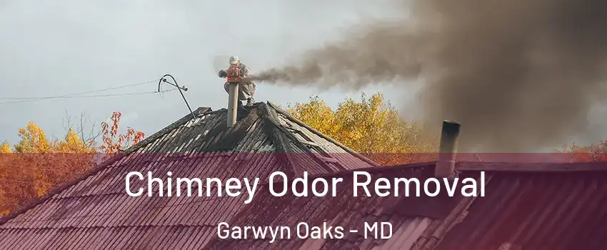 Chimney Odor Removal Garwyn Oaks - MD