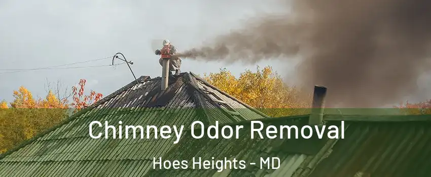 Chimney Odor Removal Hoes Heights - MD