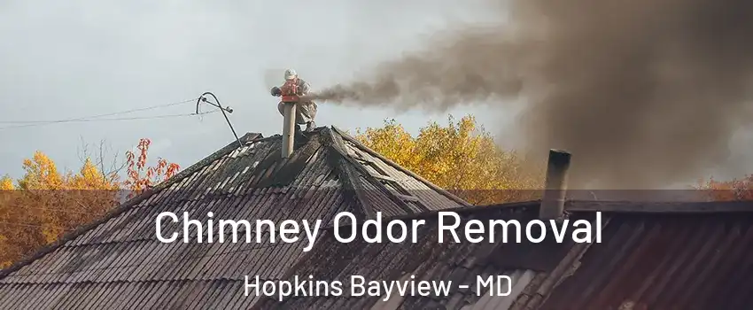 Chimney Odor Removal Hopkins Bayview - MD