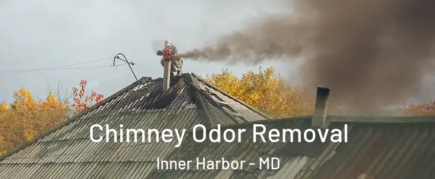 Chimney Odor Removal Inner Harbor - MD