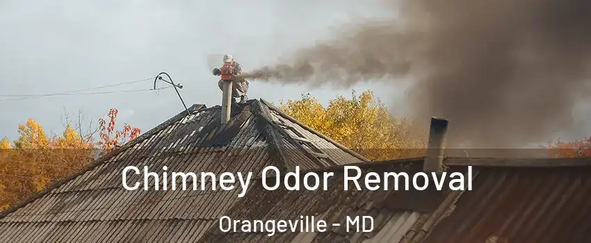 Chimney Odor Removal Orangeville - MD