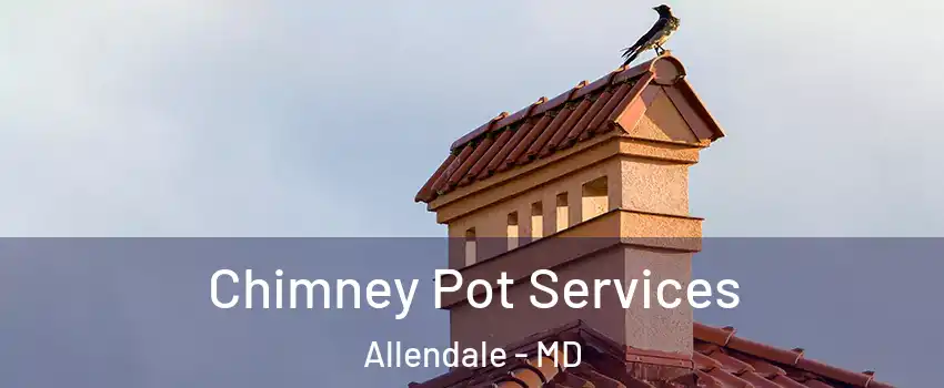 Chimney Pot Services Allendale - MD