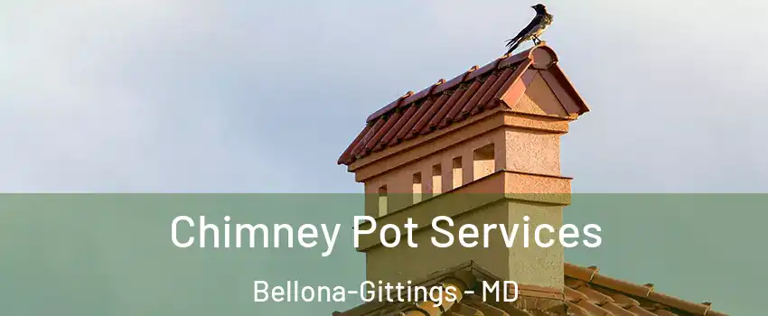 Chimney Pot Services Bellona-Gittings - MD