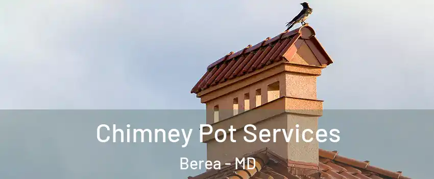 Chimney Pot Services Berea - MD