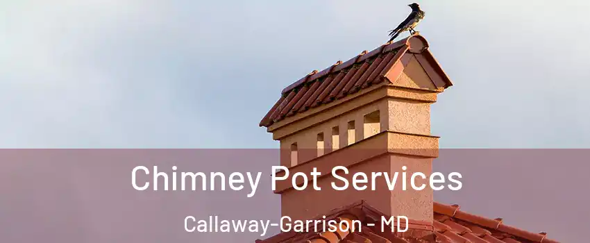 Chimney Pot Services Callaway-Garrison - MD