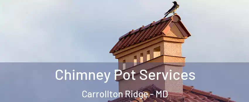 Chimney Pot Services Carrollton Ridge - MD