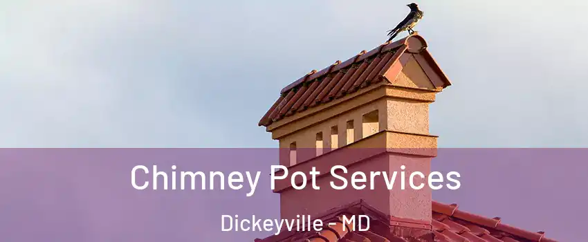 Chimney Pot Services Dickeyville - MD