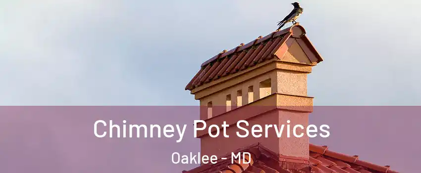 Chimney Pot Services Oaklee - MD