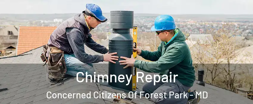 Chimney Repair Concerned Citizens Of Forest Park - MD