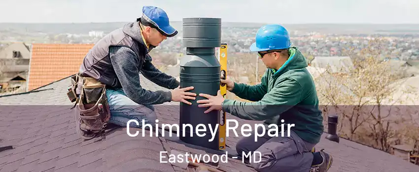 Chimney Repair Eastwood - MD