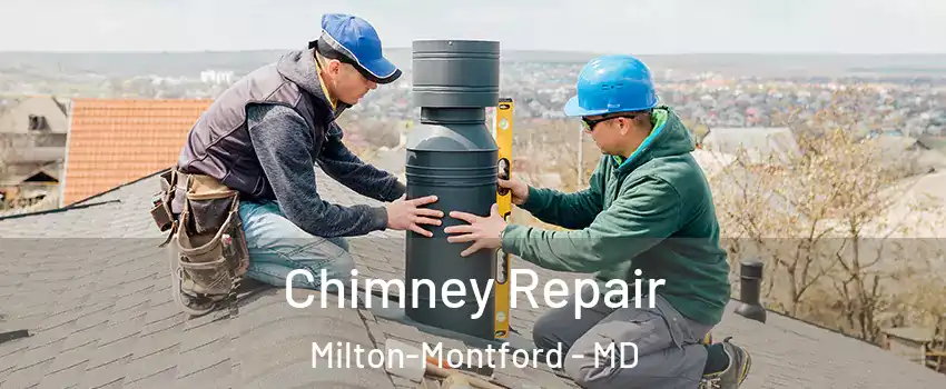 Chimney Repair Milton-Montford - MD