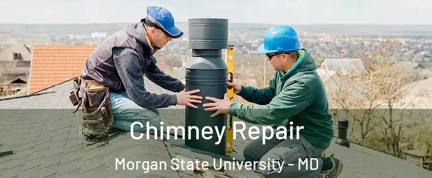 Chimney Repair Morgan State University - MD