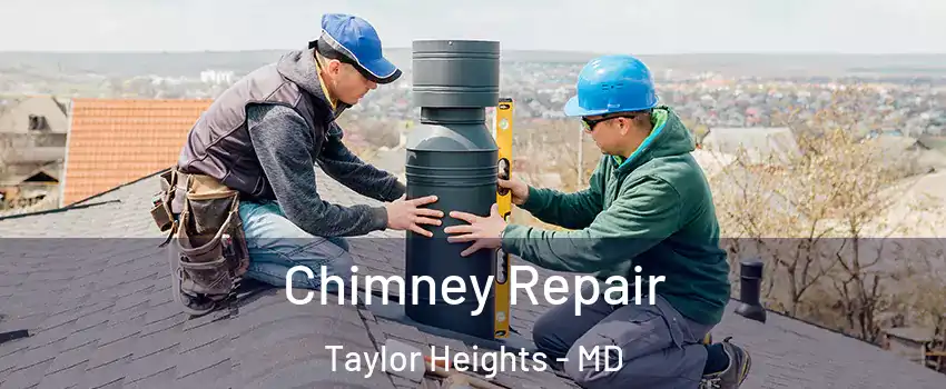 Chimney Repair Taylor Heights - MD