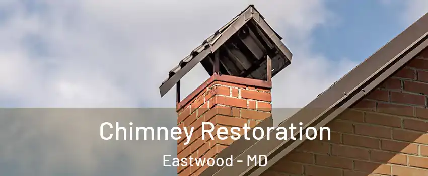 Chimney Restoration Eastwood - MD