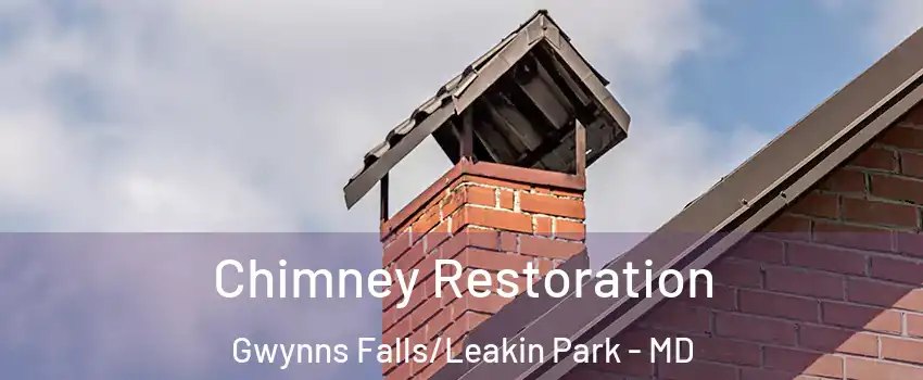 Chimney Restoration Gwynns Falls/Leakin Park - MD