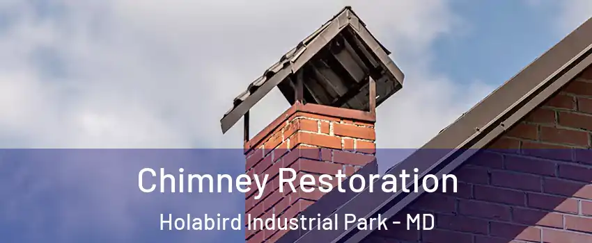 Chimney Restoration Holabird Industrial Park - MD