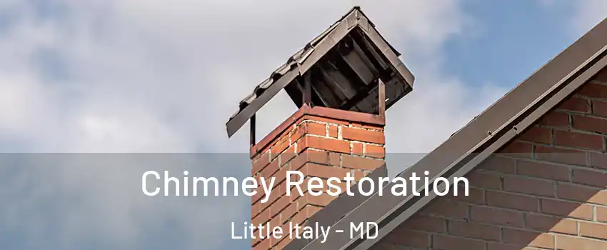 Chimney Restoration Little Italy - MD