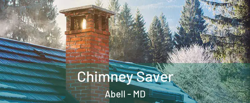 Chimney Saver Abell - MD