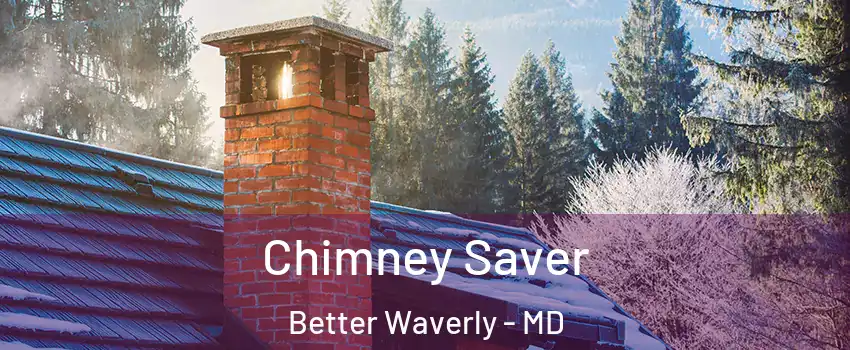 Chimney Saver Better Waverly - MD