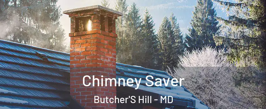 Chimney Saver Butcher'S Hill - MD