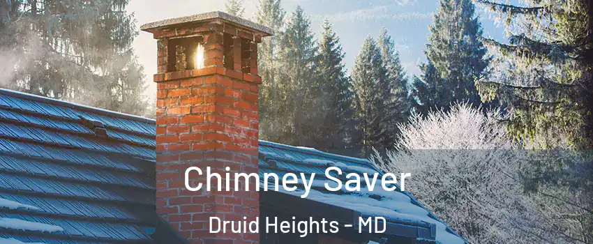 Chimney Saver Druid Heights - MD