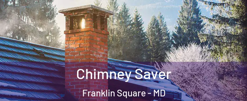 Chimney Saver Franklin Square - MD