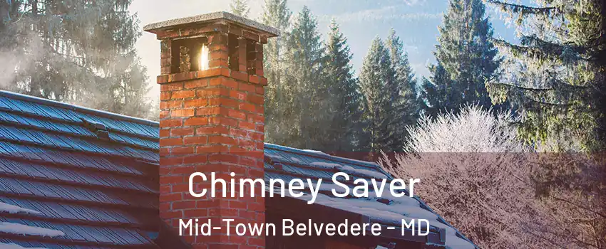 Chimney Saver Mid-Town Belvedere - MD