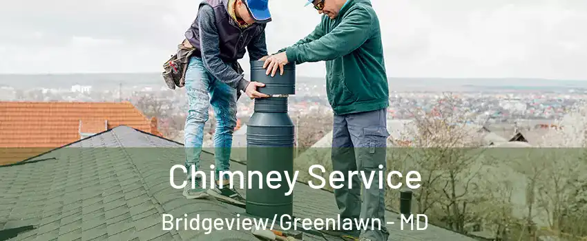 Chimney Service Bridgeview/Greenlawn - MD