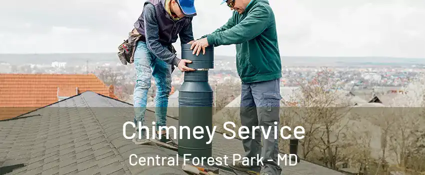 Chimney Service Central Forest Park - MD