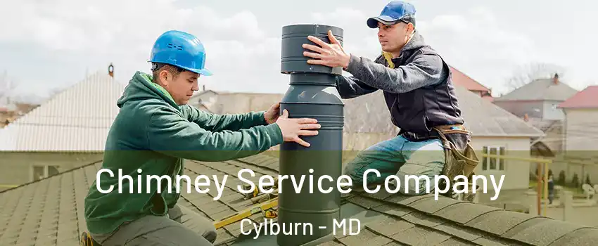 Chimney Service Company Cylburn - MD