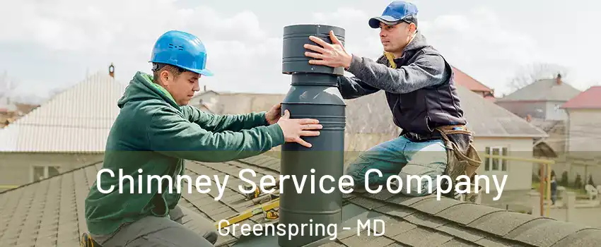 Chimney Service Company Greenspring - MD