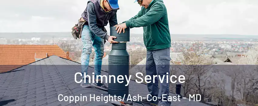 Chimney Service Coppin Heights/Ash-Co-East - MD