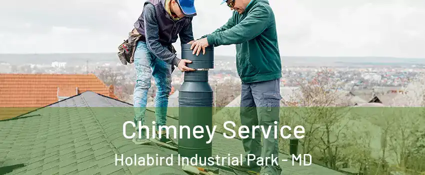 Chimney Service Holabird Industrial Park - MD