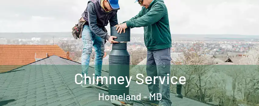 Chimney Service Homeland - MD