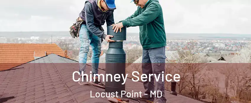 Chimney Service Locust Point - MD