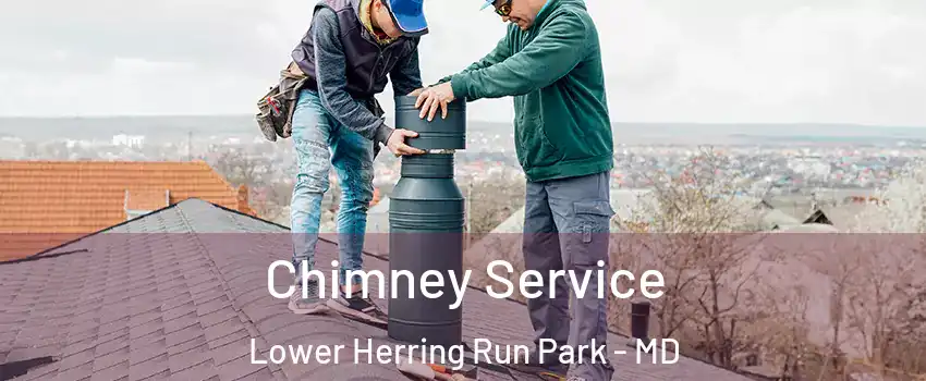 Chimney Service Lower Herring Run Park - MD