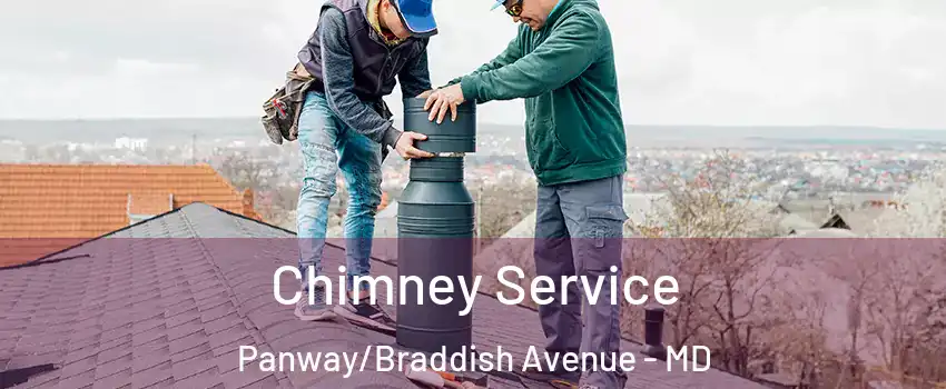 Chimney Service Panway/Braddish Avenue - MD