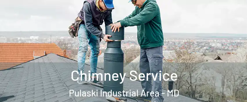 Chimney Service Pulaski Industrial Area - MD