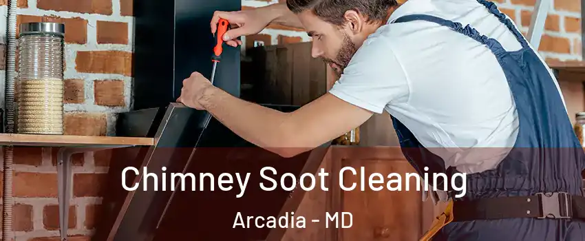 Chimney Soot Cleaning Arcadia - MD