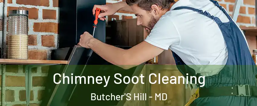 Chimney Soot Cleaning Butcher'S Hill - MD