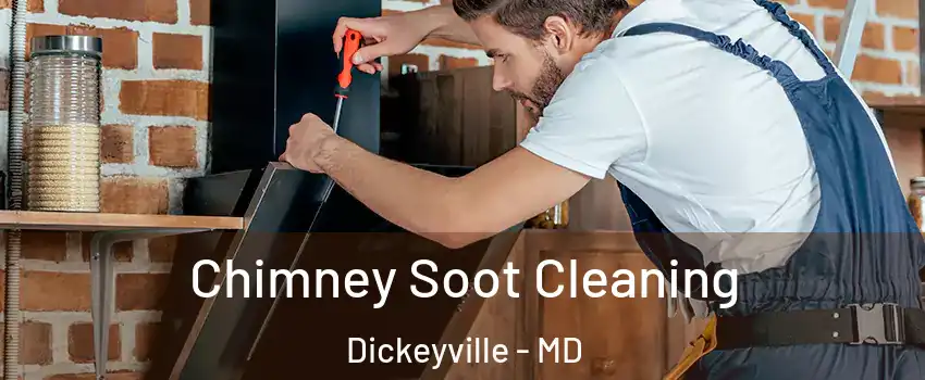 Chimney Soot Cleaning Dickeyville - MD