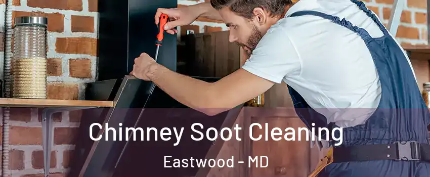 Chimney Soot Cleaning Eastwood - MD