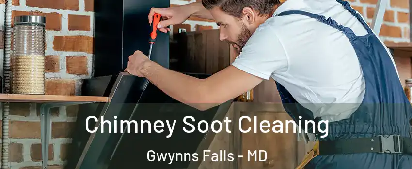 Chimney Soot Cleaning Gwynns Falls - MD