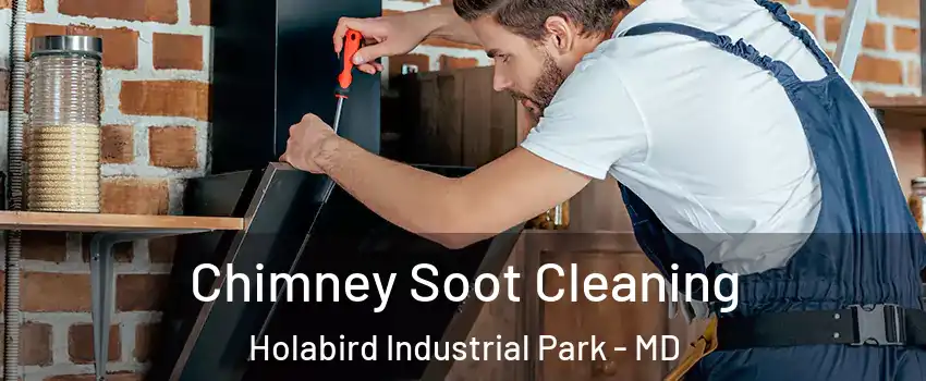 Chimney Soot Cleaning Holabird Industrial Park - MD