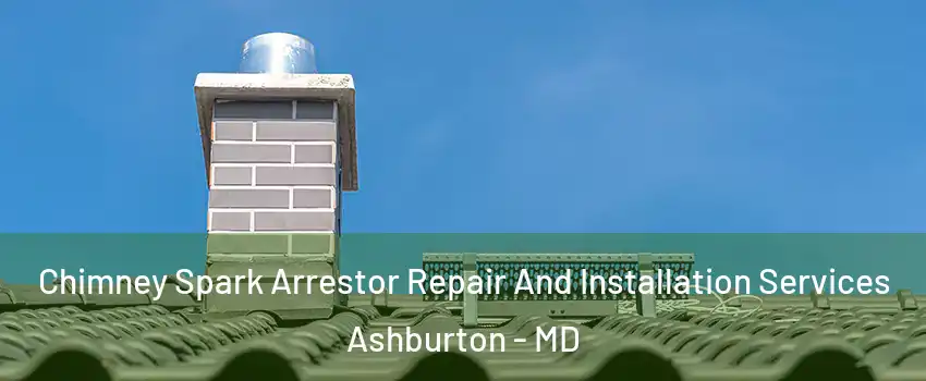 Chimney Spark Arrestor Repair And Installation Services Ashburton - MD