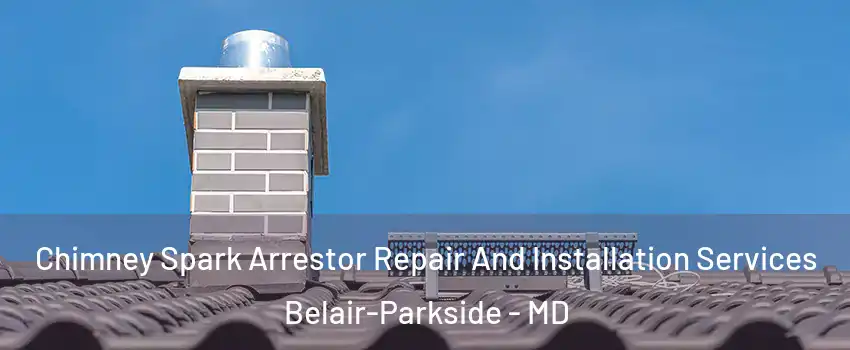 Chimney Spark Arrestor Repair And Installation Services Belair-Parkside - MD