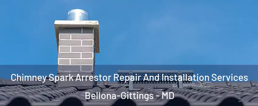 Chimney Spark Arrestor Repair And Installation Services Bellona-Gittings - MD