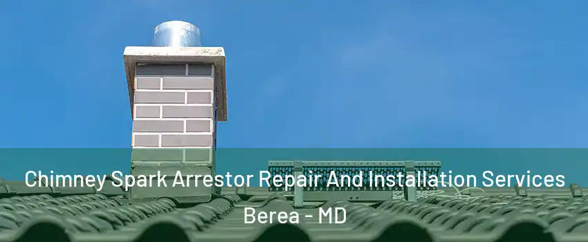 Chimney Spark Arrestor Repair And Installation Services Berea - MD